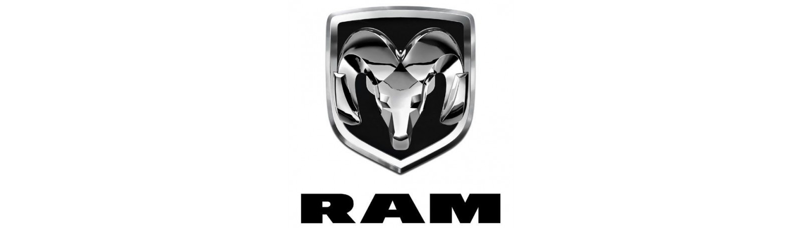 RAM ProMaster