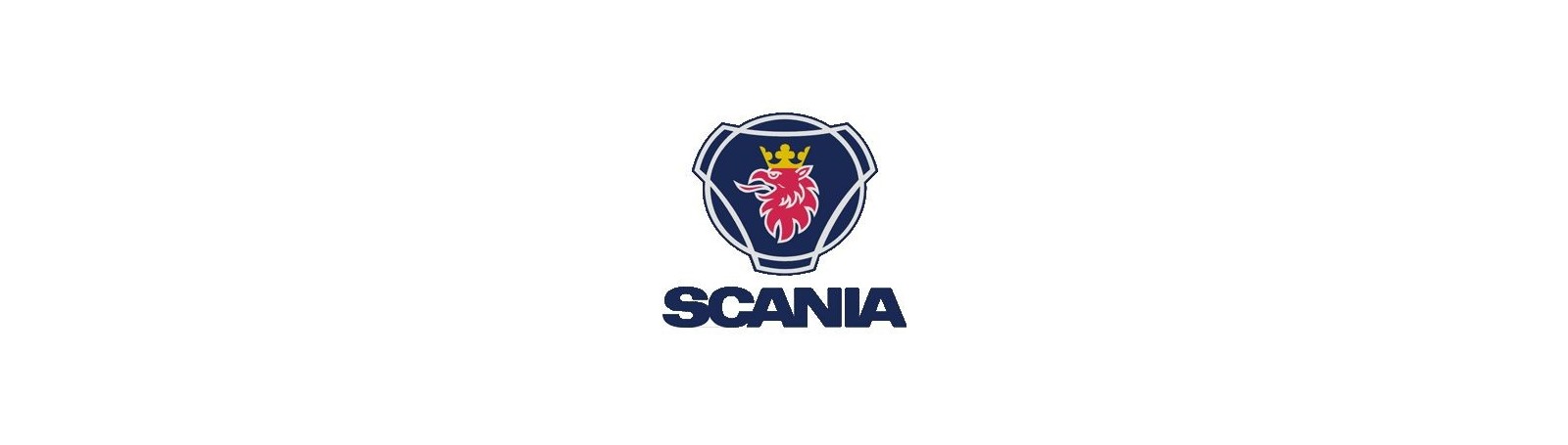 Scania RiG